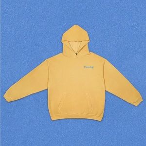 NWT PLEASING HOODIE BY HARRY STYLES